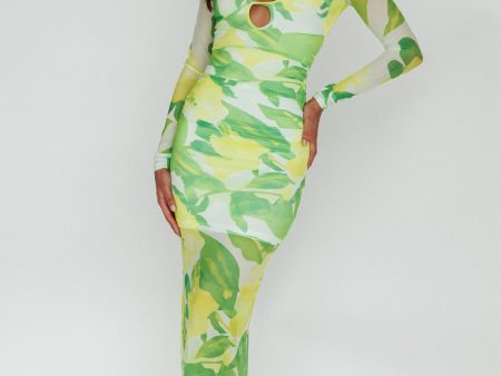 Chardae Long Sleeve Mesh Midi Dress Floral Green Online now