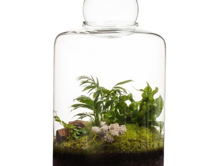 Garden of Eden Terrarium Hot on Sale