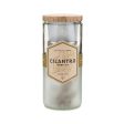 Eco Planter - Cilantro (Coriander) Online Sale