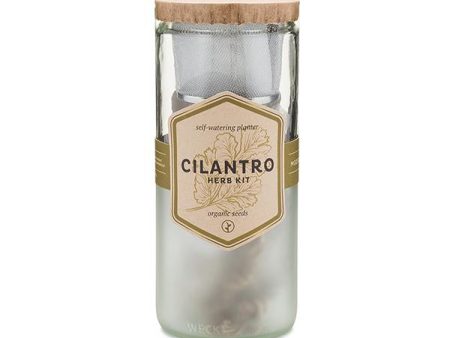 Eco Planter - Cilantro (Coriander) Online Sale