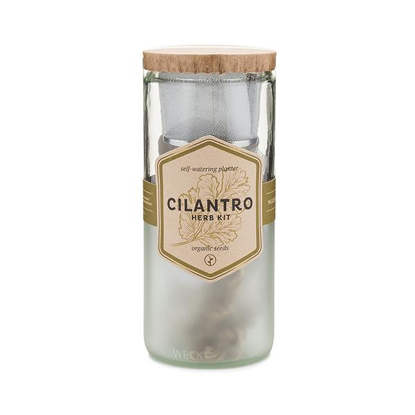 Eco Planter - Cilantro (Coriander) Online Sale