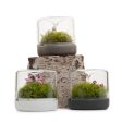 Sanctuary S Rainforest Terrarium - White Fashion