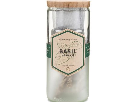 Eco Planter - Basil Hot on Sale