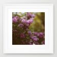 Lilac Daydream - Fine Art Photograph For Discount