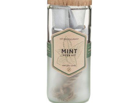 Eco Planter - Mint For Discount