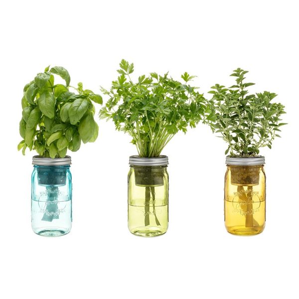 Garden Jars - Italian Herb Kit Online