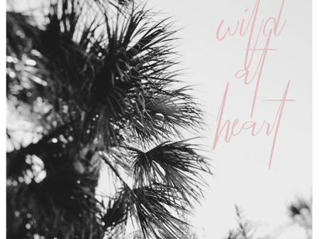 A Wild Heart - Fine Art Photograph Cheap