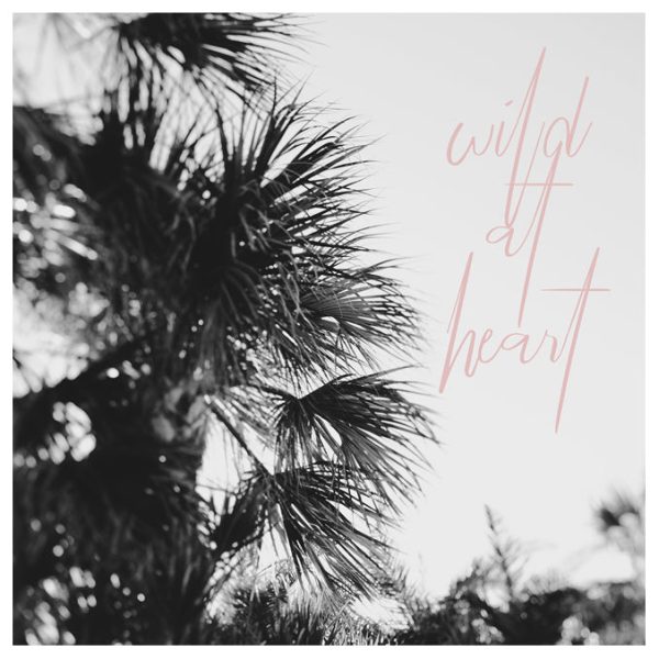 A Wild Heart - Fine Art Photograph Cheap