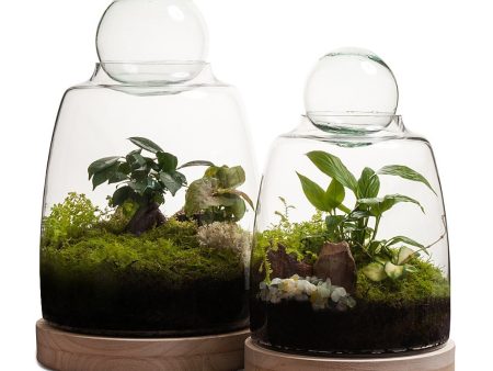 Soho Terrarium For Cheap