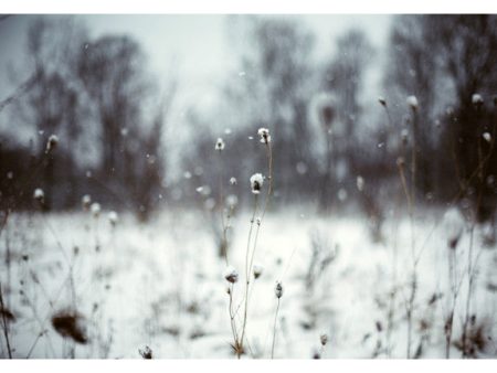 The Lightness of Winter - Fine Art Photograph Sale