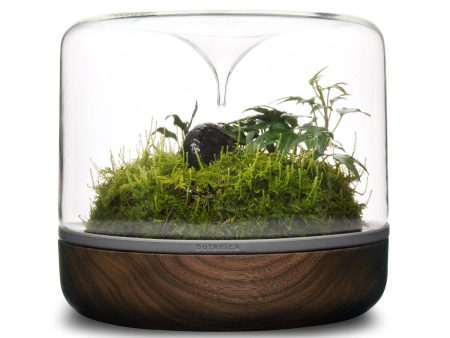 Sanctuary M Rainforest Terrarium - Smoked Oak Online