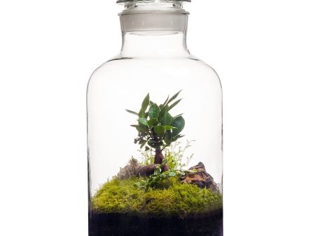 15L Apothecary Terrarium For Discount