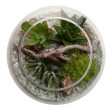 Desertscape Fishbowl Terrarium Discount