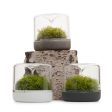 Sanctuary S Rainforest Terrarium - White Fashion