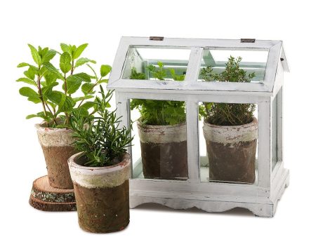 Mini Herb Greenhouse Discount