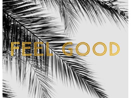 Feel Good (BW Palm) - Fine Art Photograph Hot on Sale