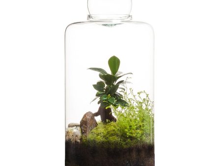 Small Capsule Terrarium Online Sale