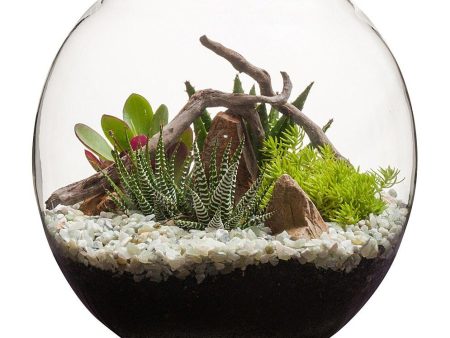 Desertscape Fishbowl Terrarium Discount