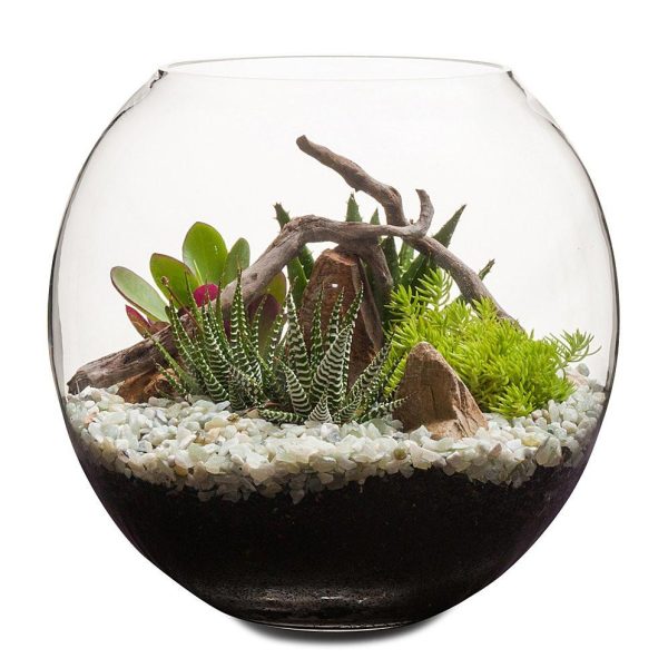 Desertscape Fishbowl Terrarium Discount