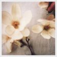 Fancy Magnolia - Fine Art Photograph For Discount