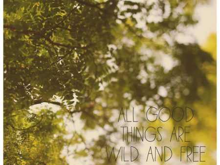 All Good Things - Fine Art Photograph For Cheap