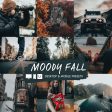 Moody Fall For Discount