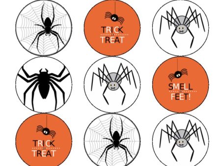 Halloween Spiders on Sale