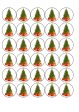 Christmas Fir Tree on Sale